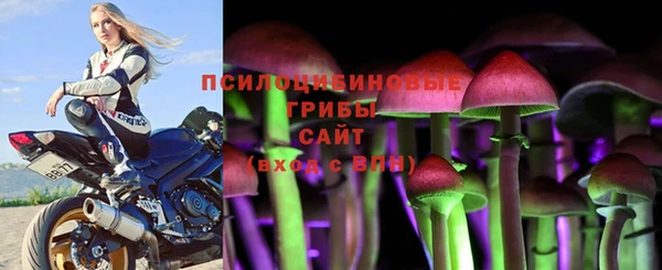 каннабис Алексеевка