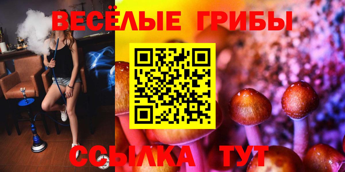 Галлюциногенные грибы ЛСД Павловский Посад