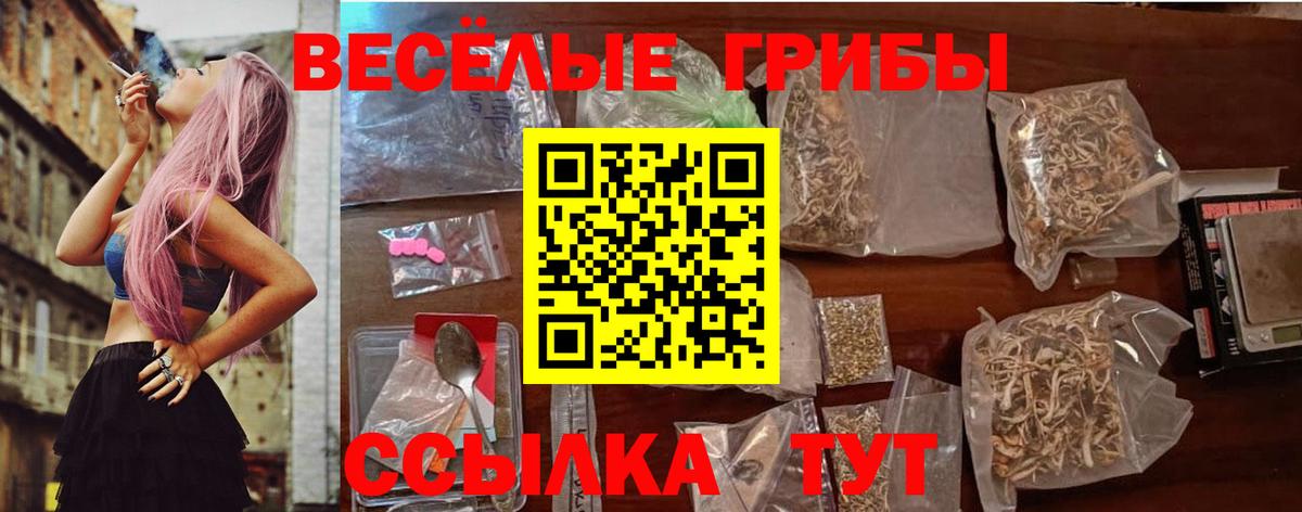 Павловский Посад  Галлюциногенные грибы ЛСД  Вход с VPN 